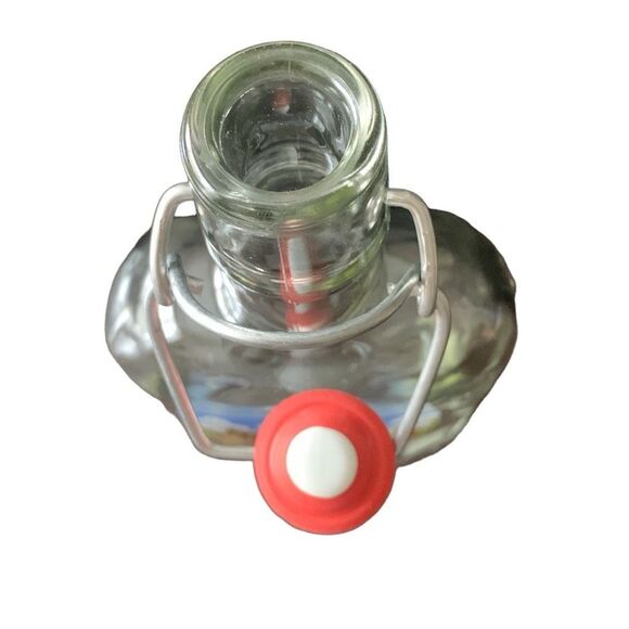 Vintage Magdeburg Bockling Flask Bottle Classic German Design W/Bonus RARE HTF - Picture 8 of 16